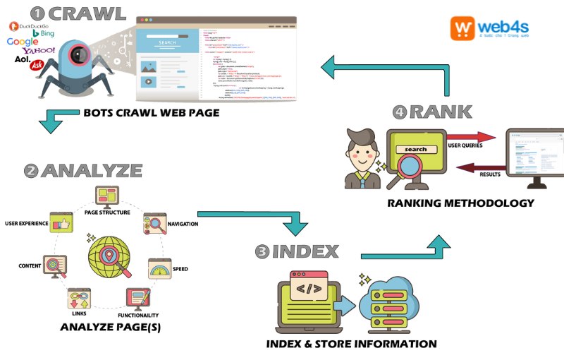 crawl website trong SEO